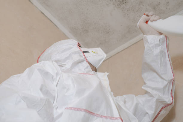 Citronelle, AL Mold Removal Company