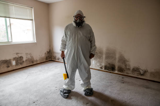 Best Water Damage Restoration  in Citronelle, AL